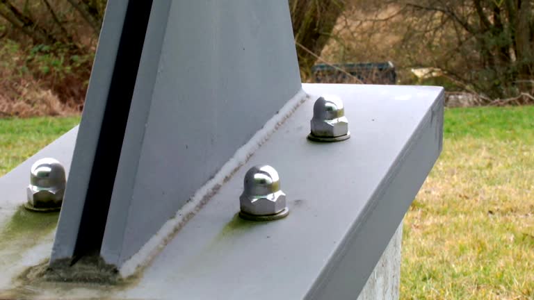 Best Environmental Consulting for Mold Prevention  in Red Springs, NC